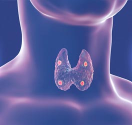 Endokrinologie